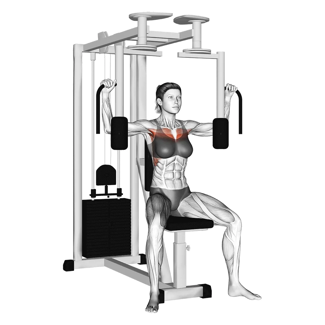 Pec Deck