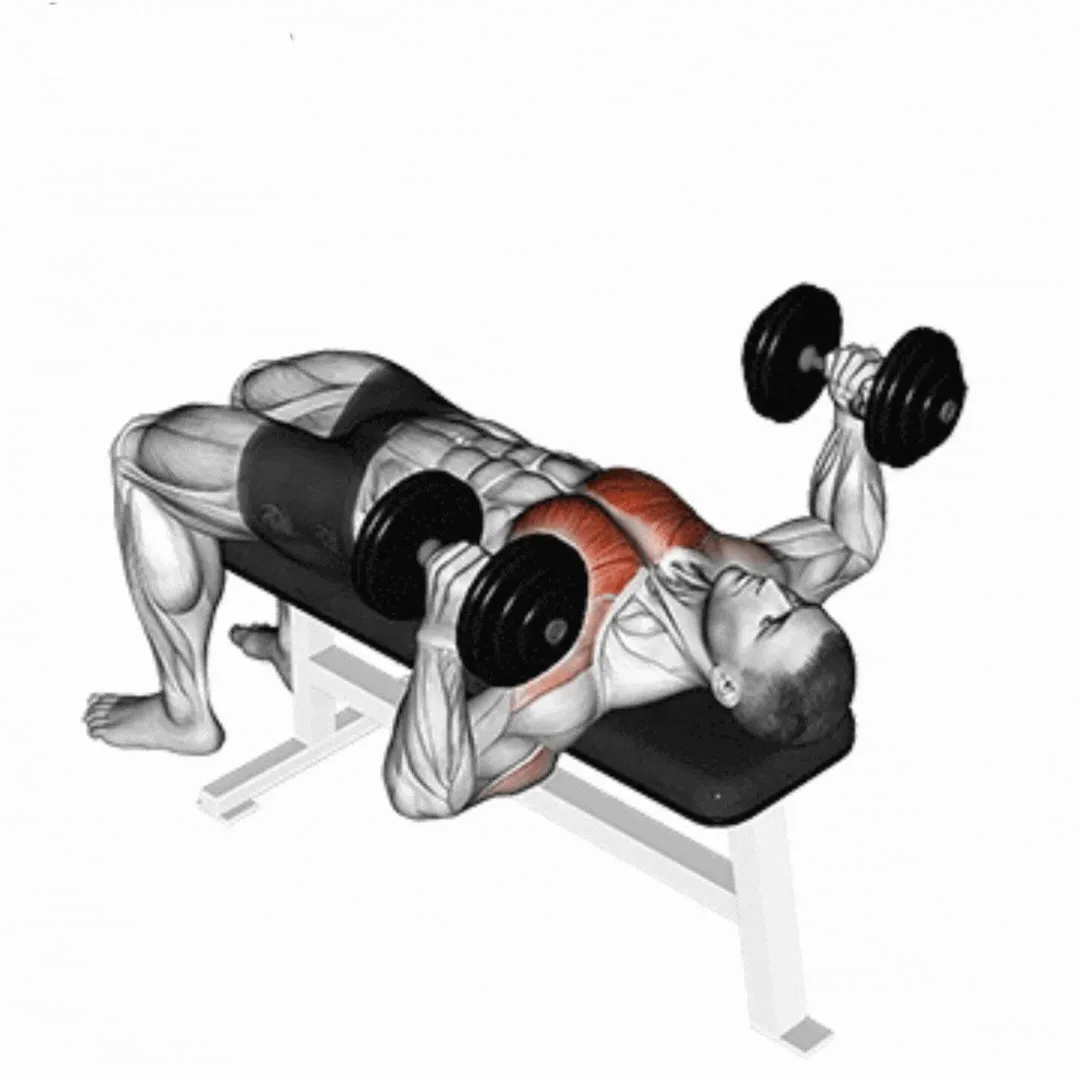 Dumbbell Hammer Press