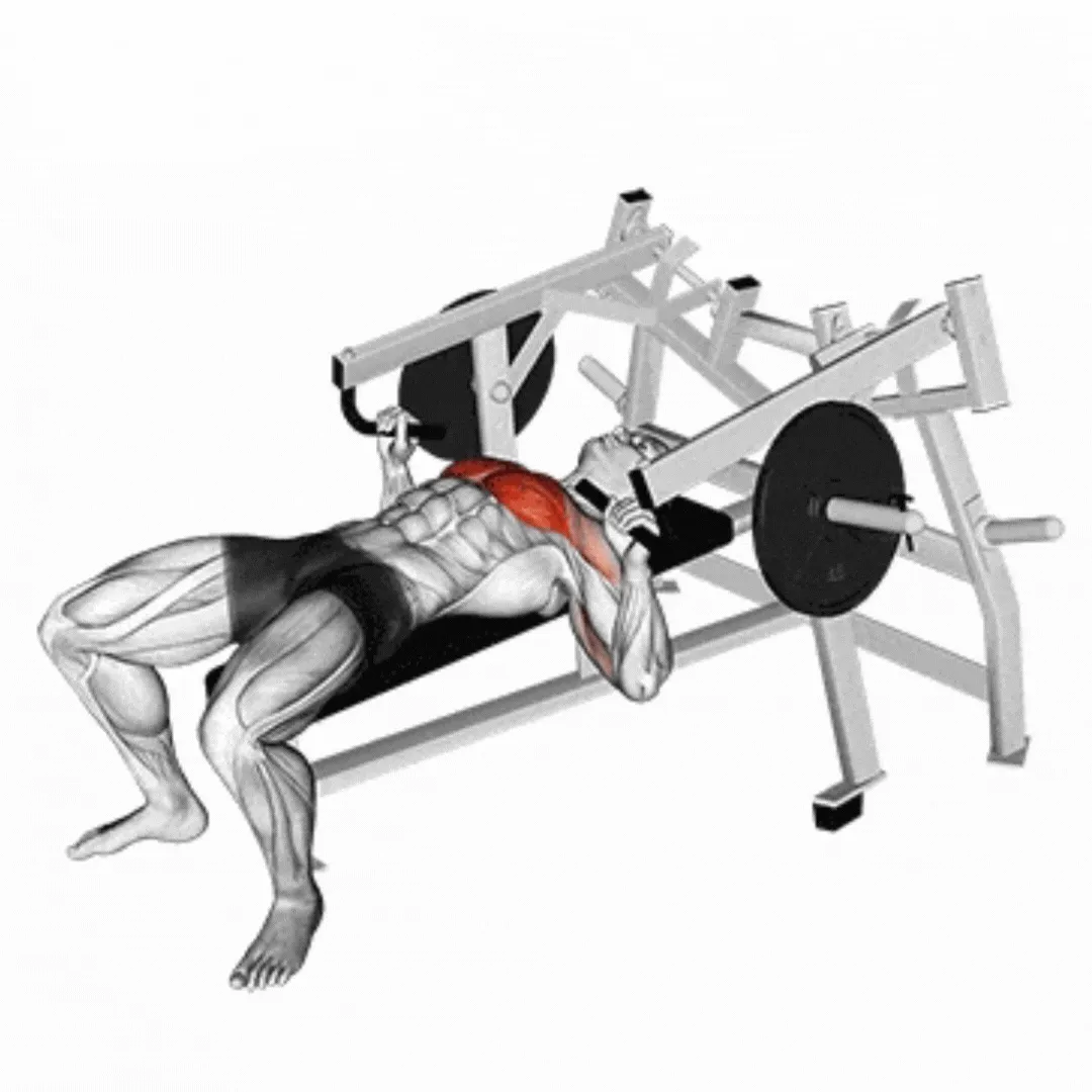Lying Chest Press Machine