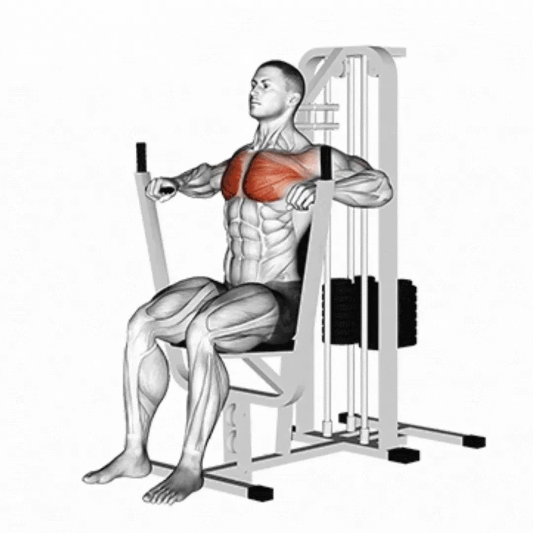 Chest Press Machine