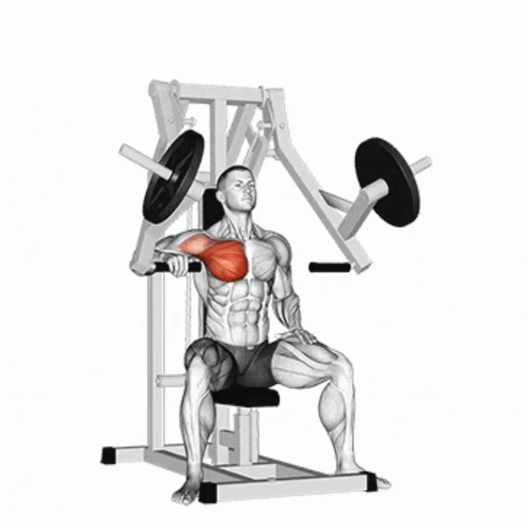 Single Arm Incline Chest Press Machine