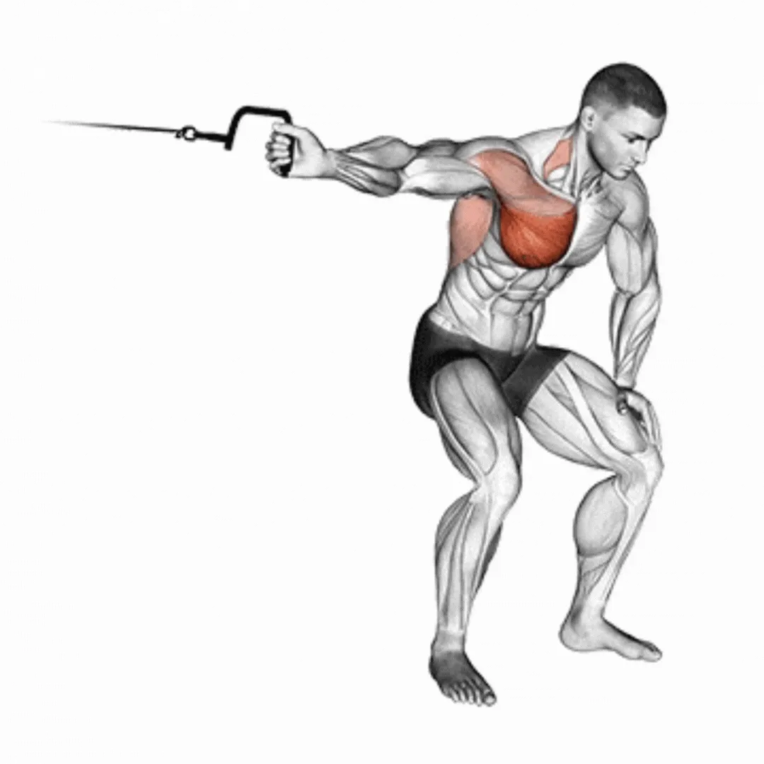 Single Arm Cable Crossover