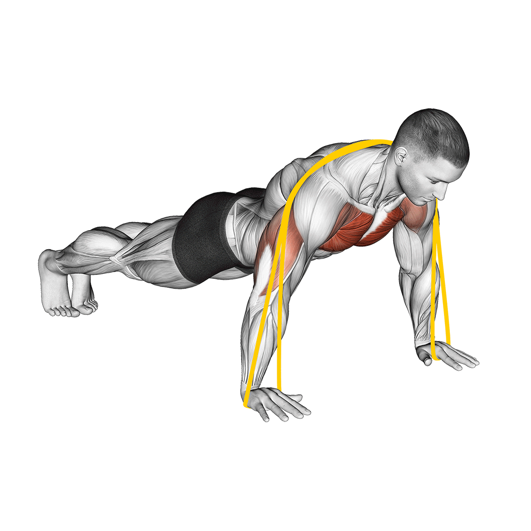 Resistance Band Push Up