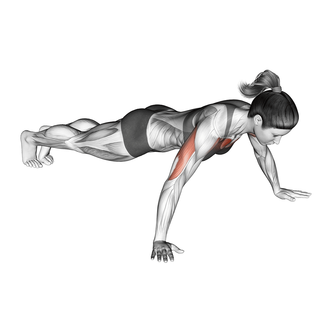 Wide Arm Push Up