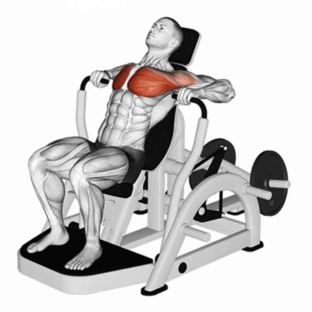 Lever Decline Chest Press