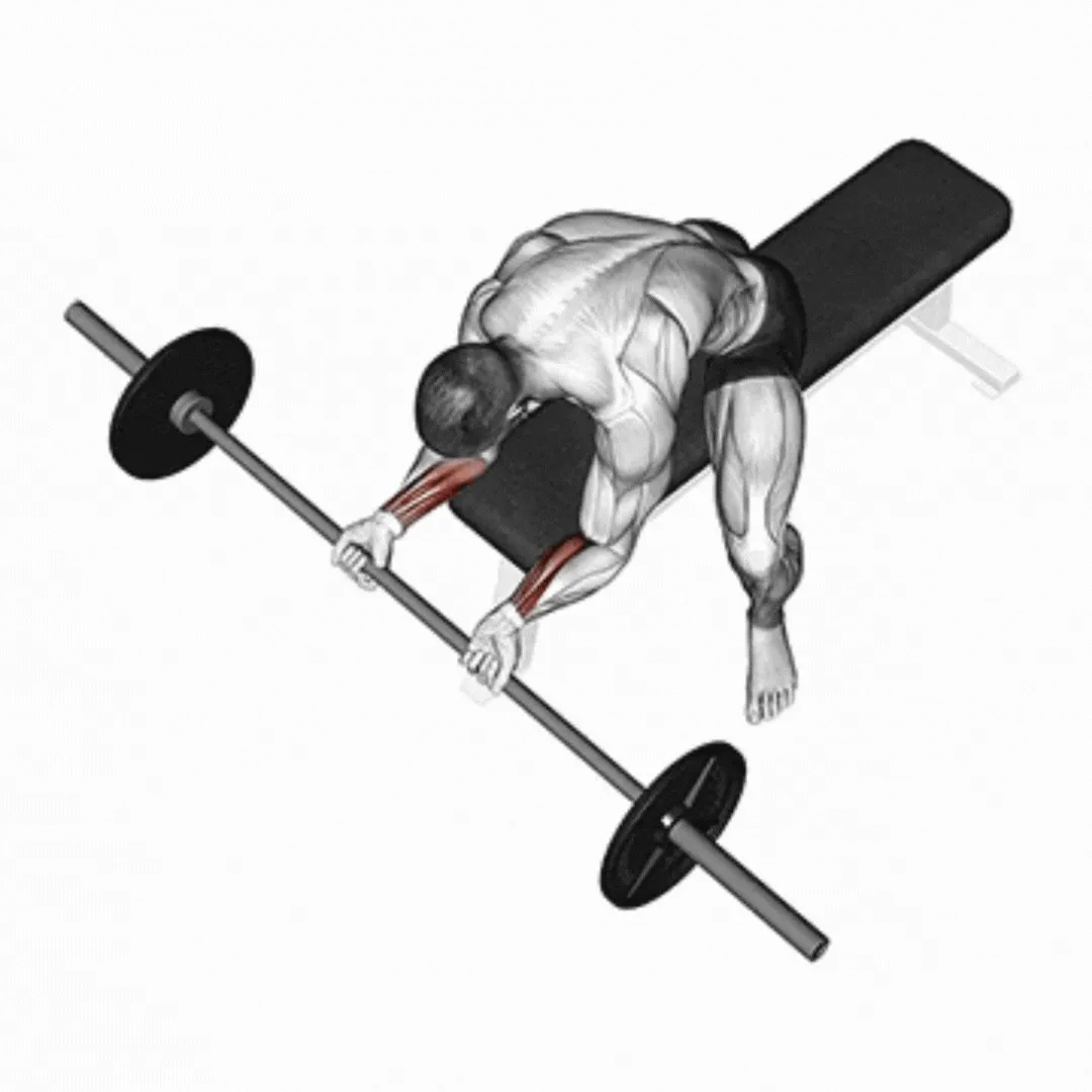 Barbell Reverse Wrist Curl