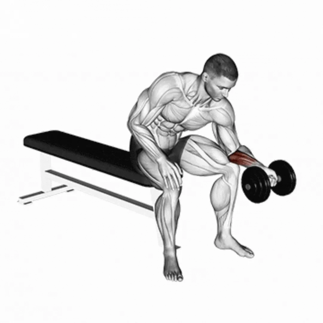 Dumbbell Wrist Curl