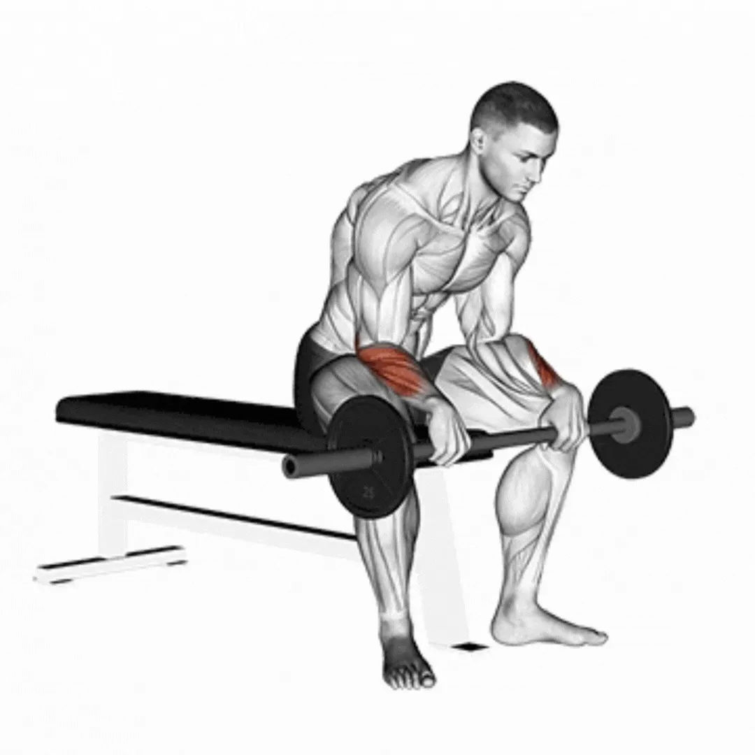Barbell Reverse Wrist Curl Over a Bench