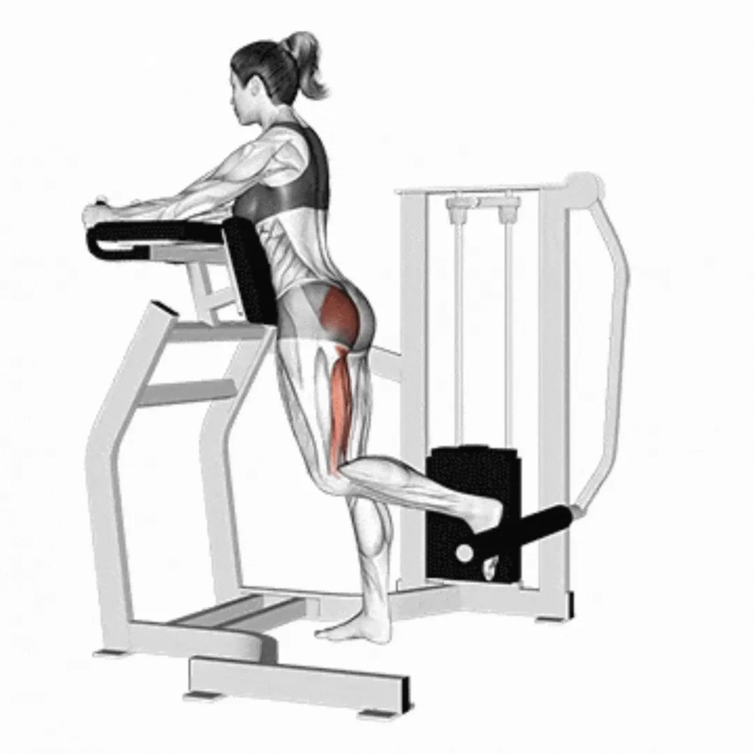 Lever Standing Hip Extension