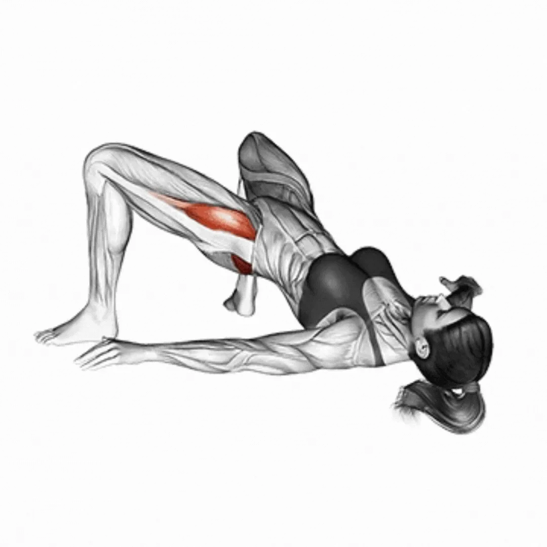 Bridge Hip Abduction