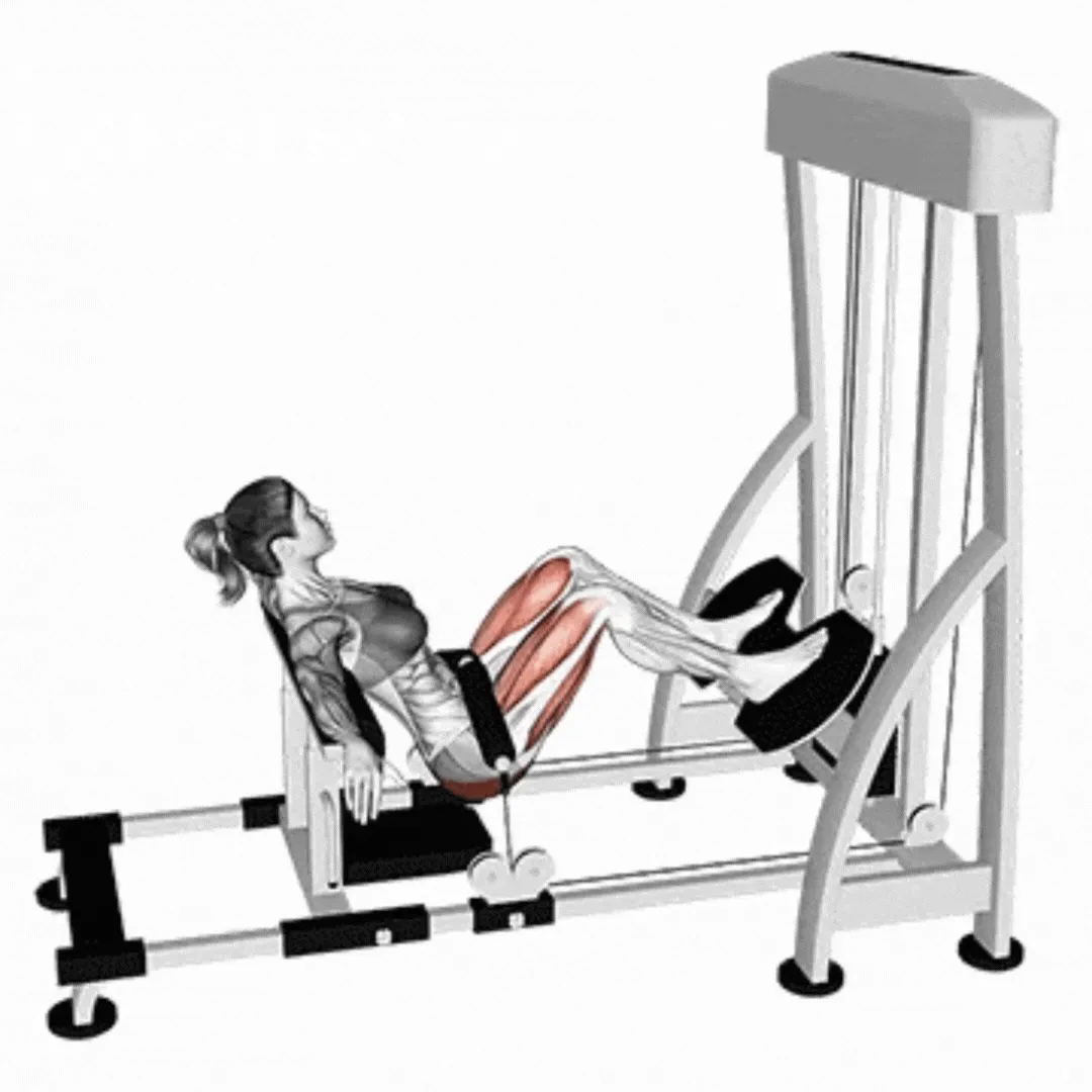Hip Thrust Machine