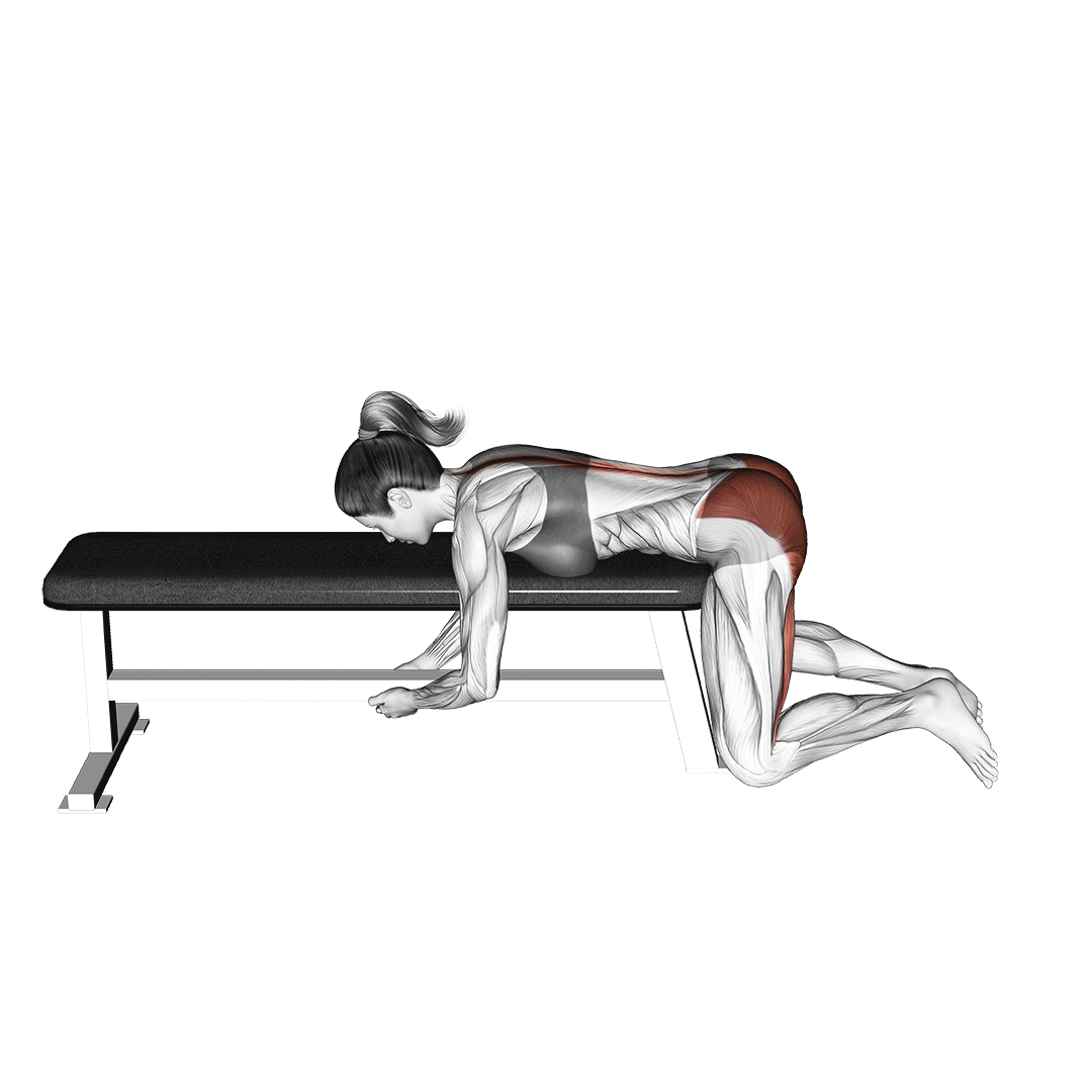 Frog Reverse Hyperextension