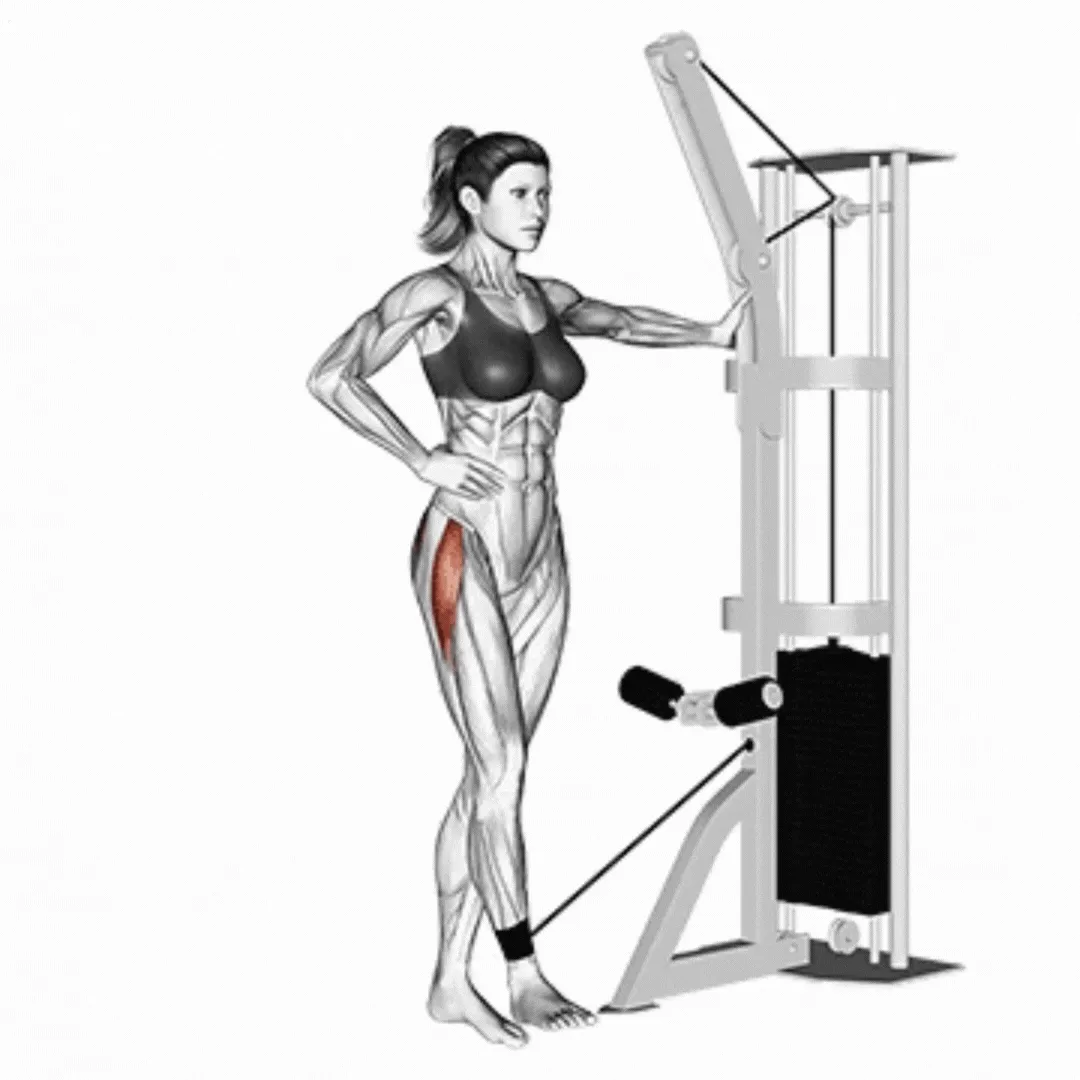 Cable Hip Abduction