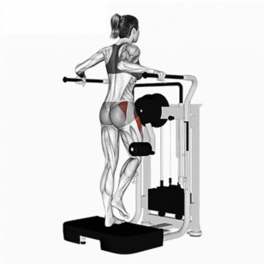 Lever Side Hip Abduction