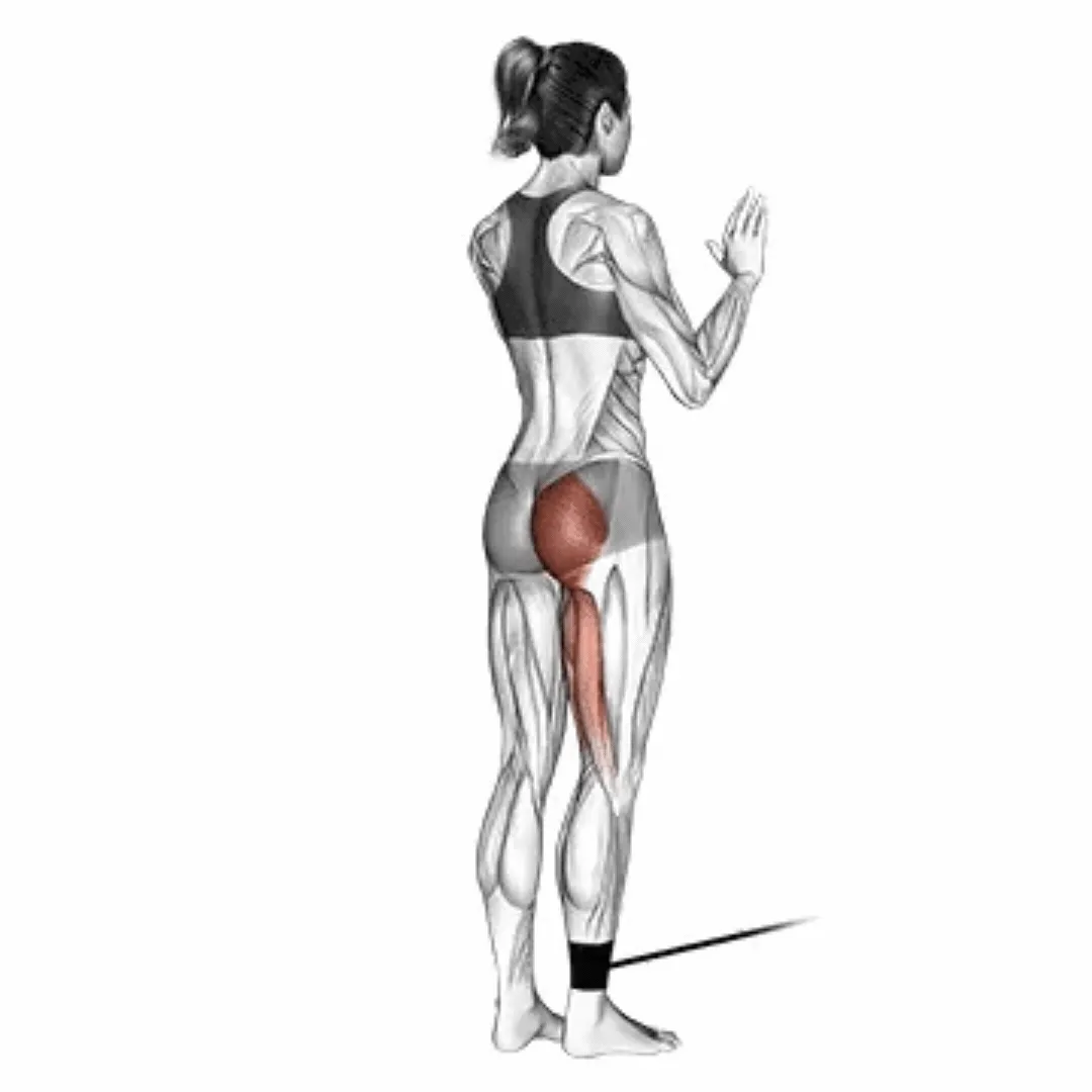 Band Standing Hip Extension