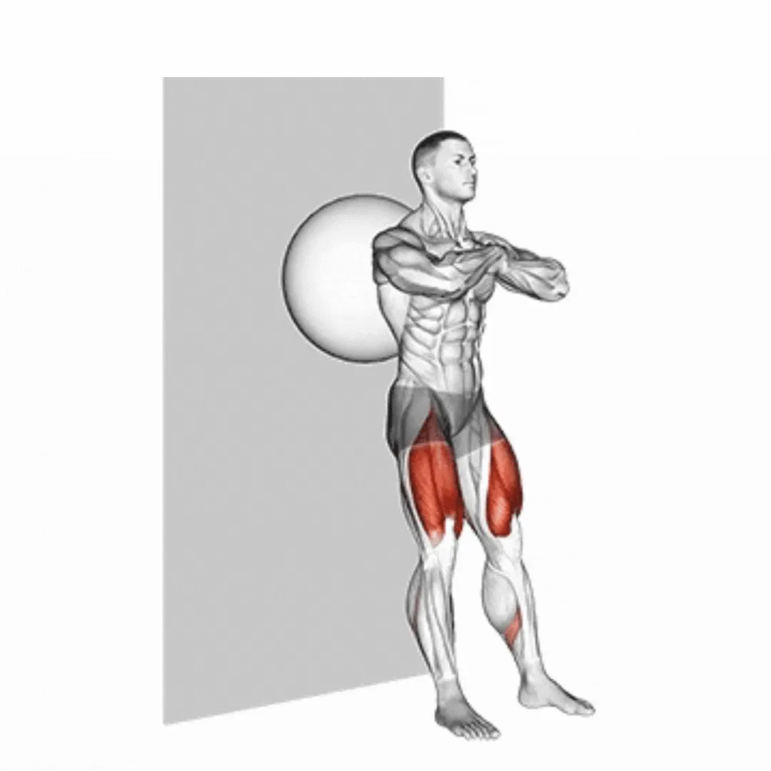 Stability Ball Wall Sit