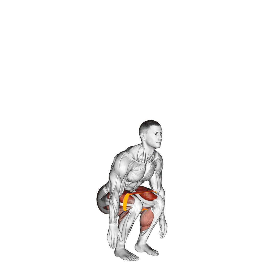 Resistance Band Jump Squat