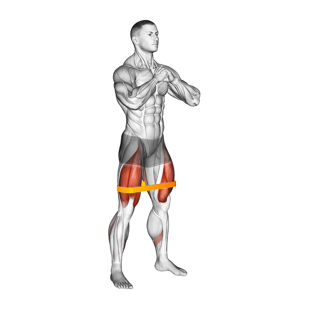 Resistance Band Squat