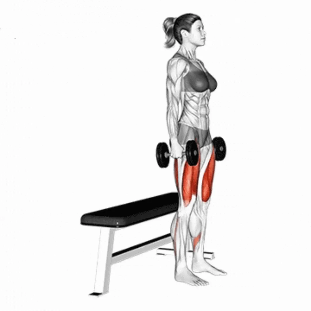Dumbbell Bench Squat