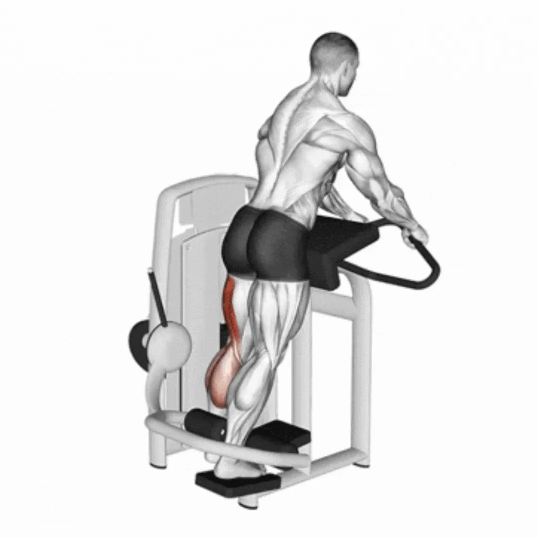 Standing Single Leg Curl Machine