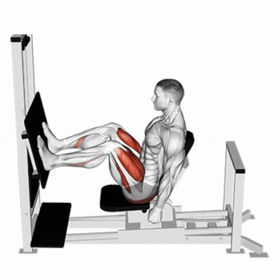 Lever Horizontal Leg Press