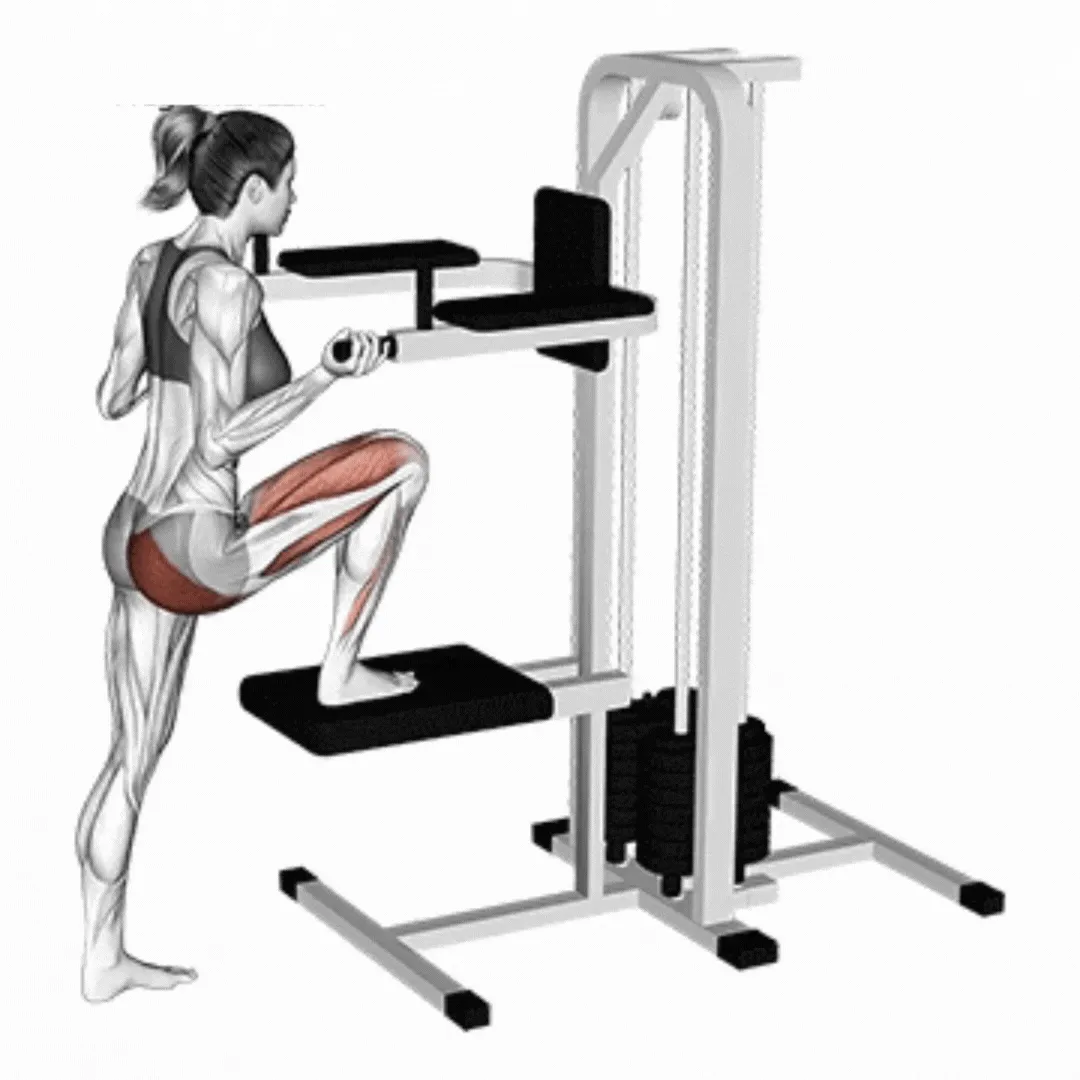 Lever Assisted Leg Press