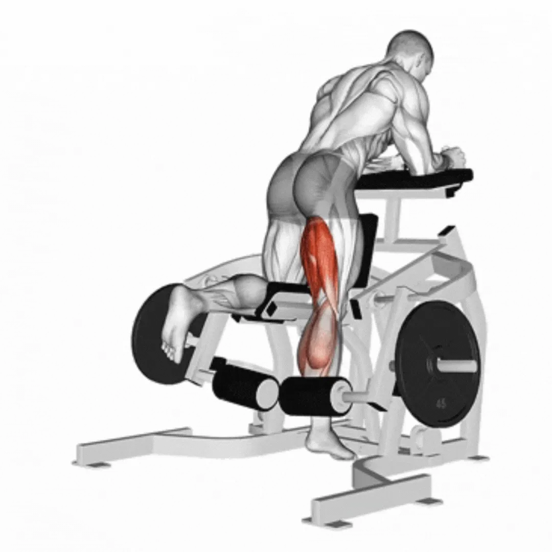 Lever Kneeling Leg Curl