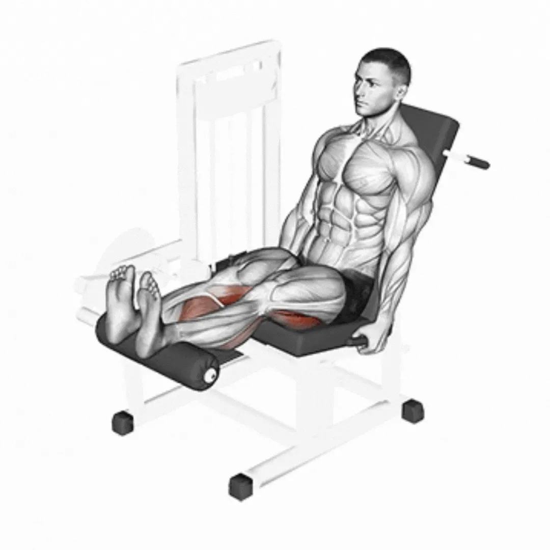 Seated Leg Curl