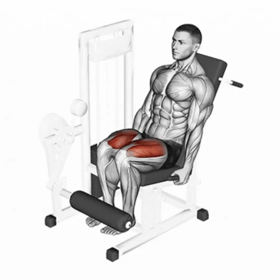 Seated Leg Extension