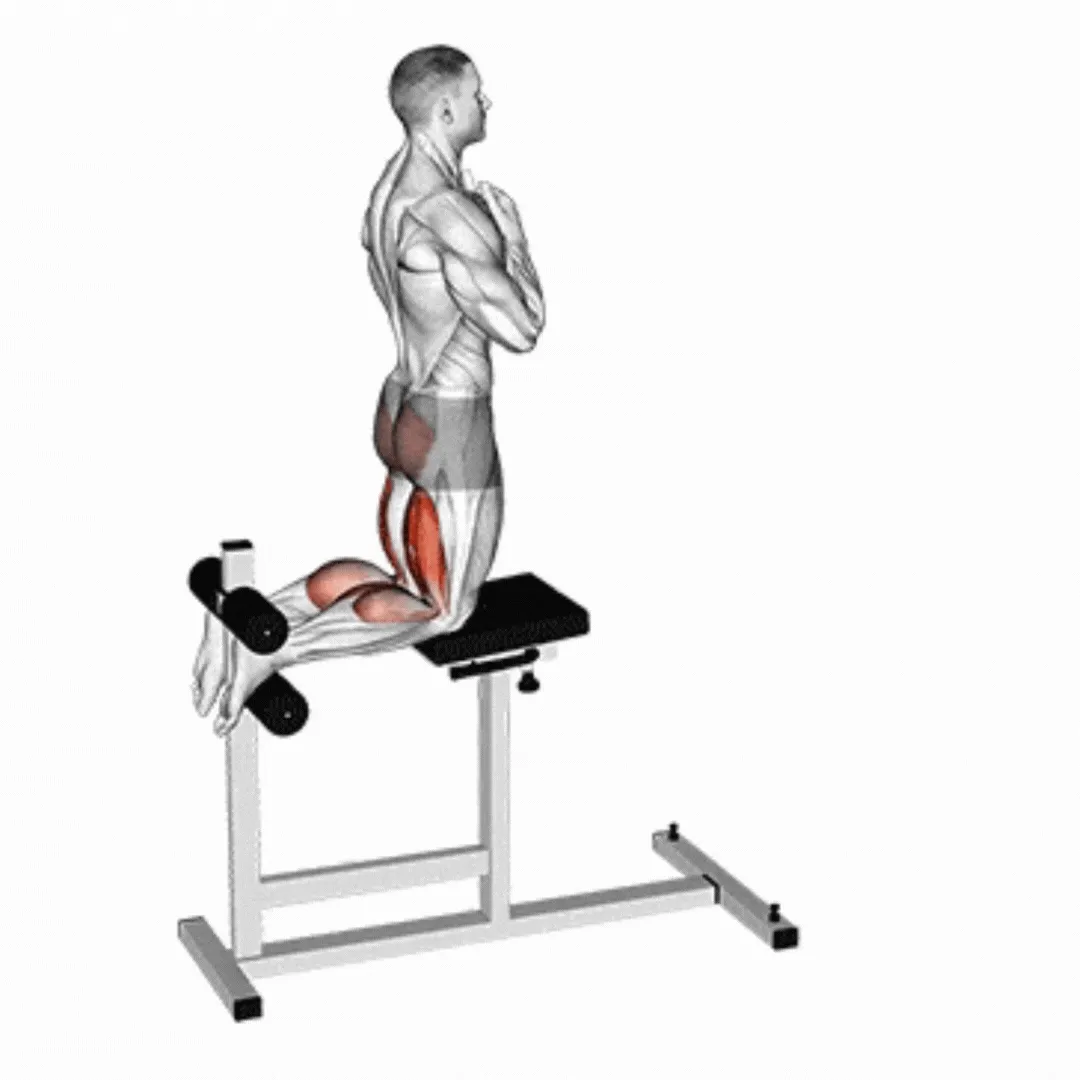 Glute Ham Raise