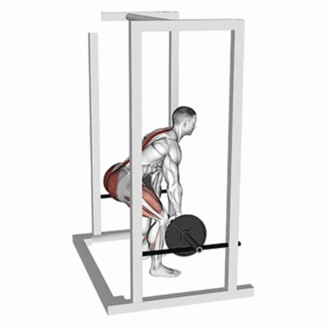 Barbell Rack Pull