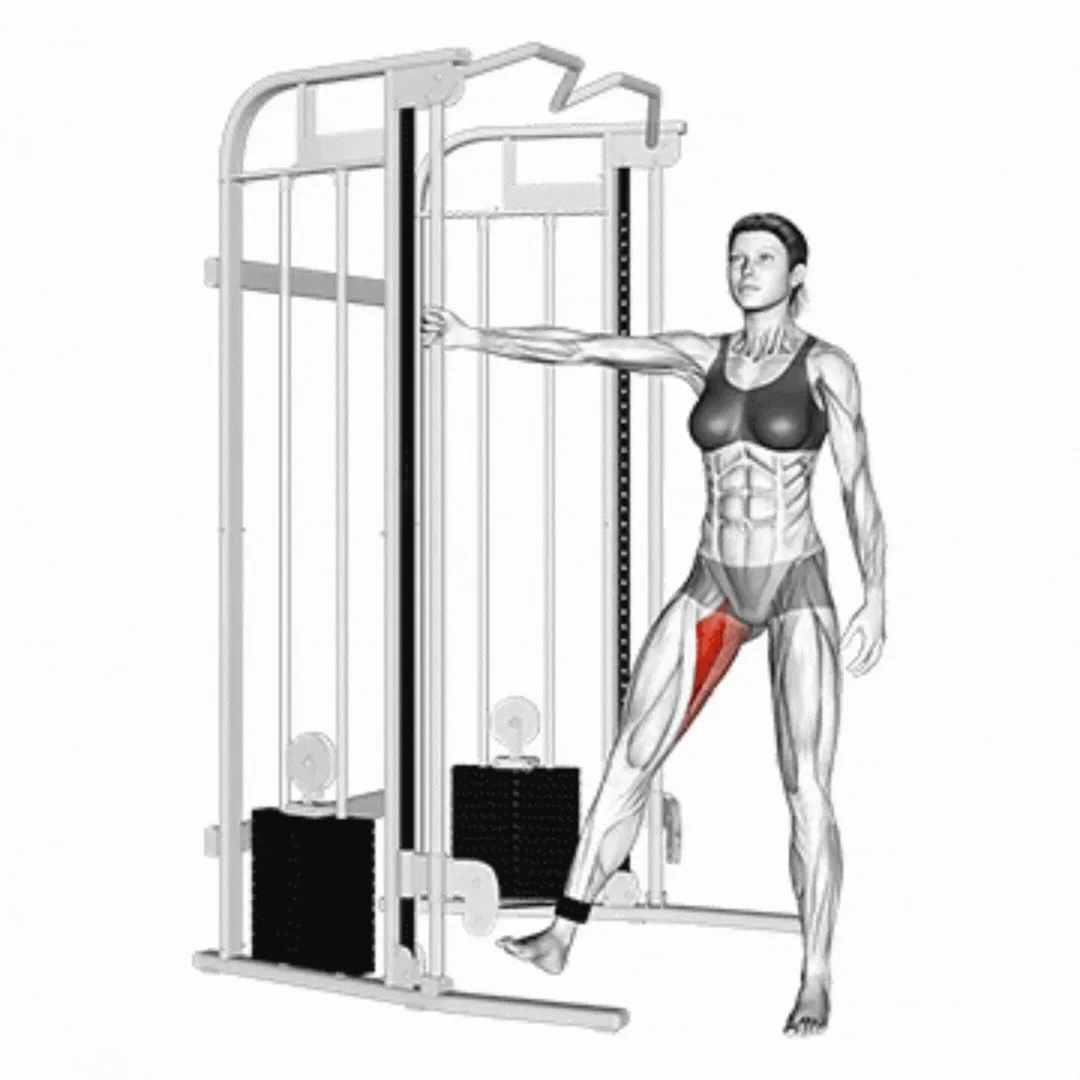 Cable Hips Adduction