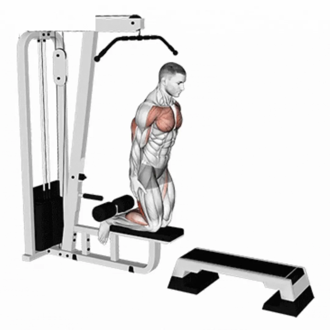 Nordic Hamstring Curl
