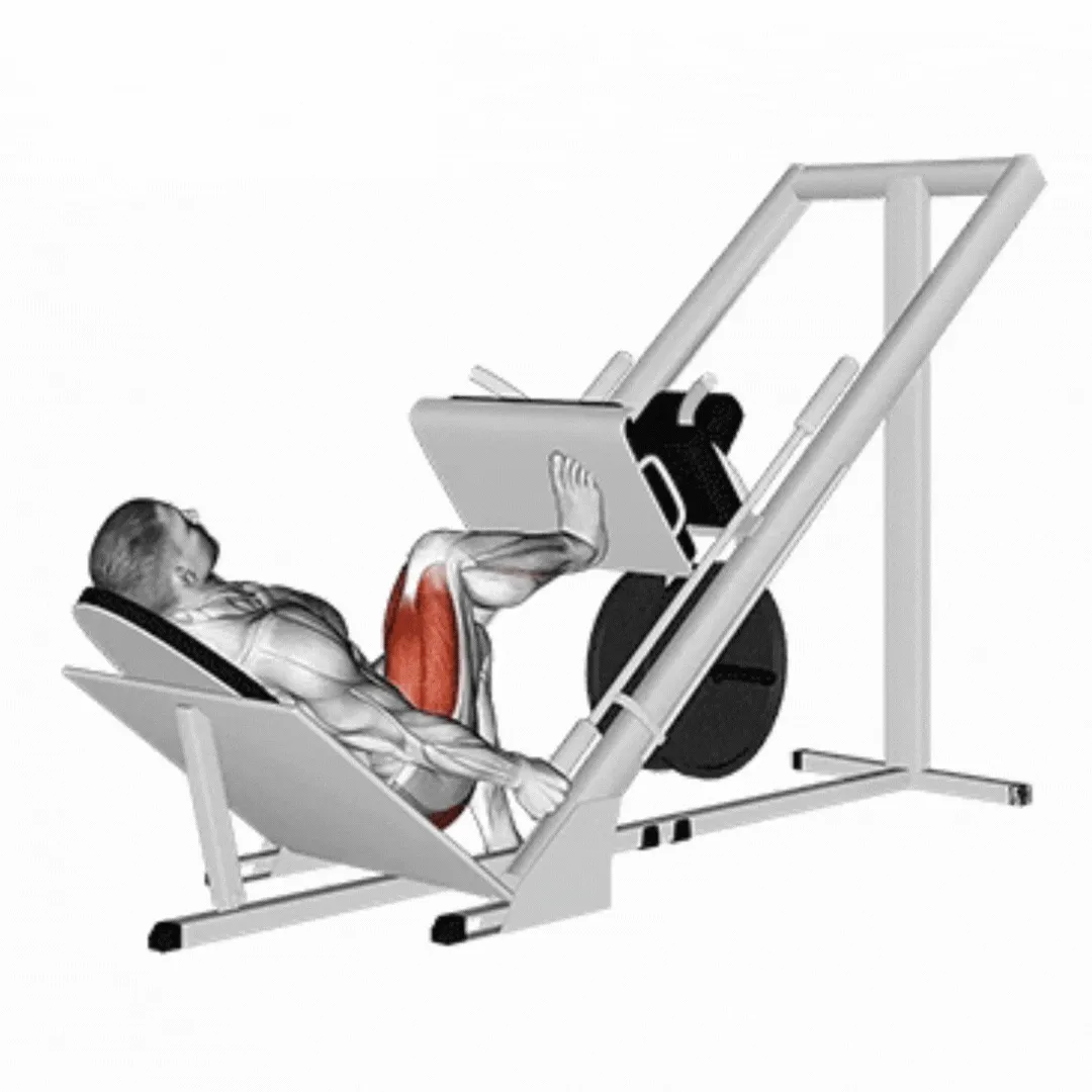 Single Leg Press