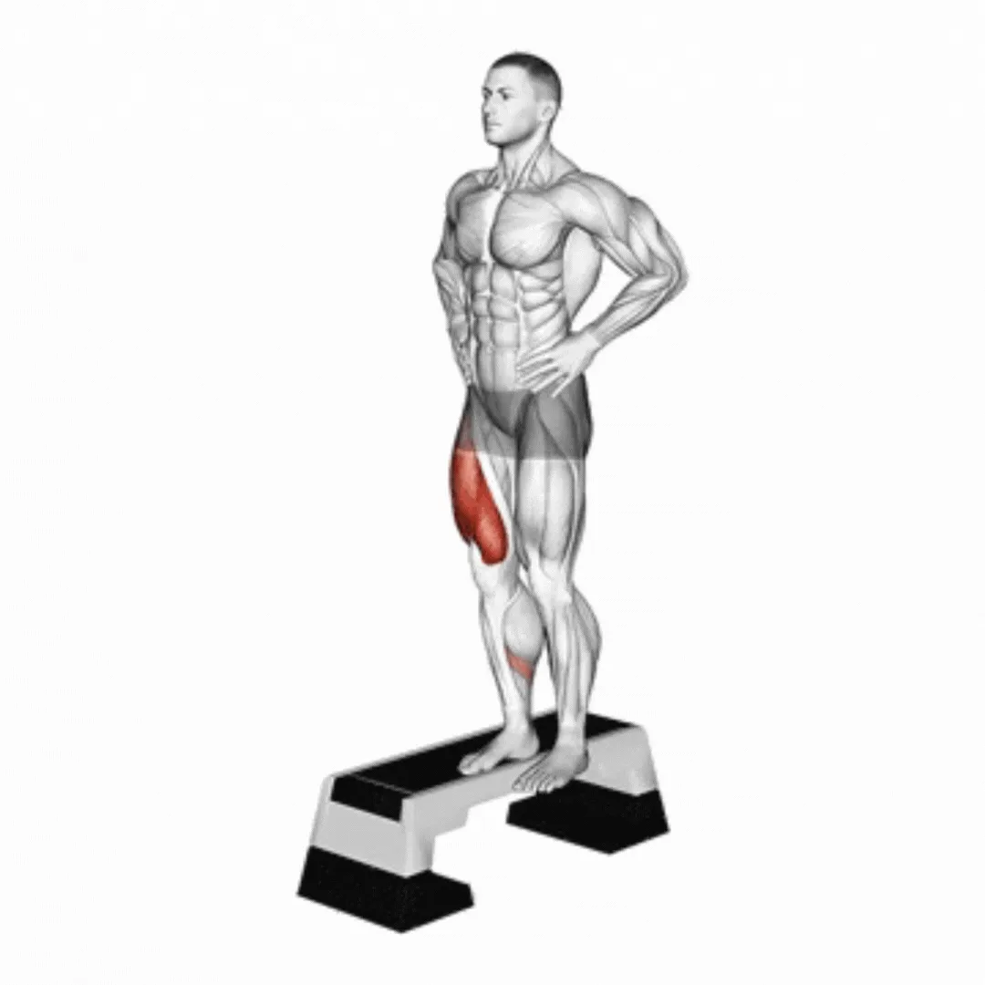 Lateral Step Up