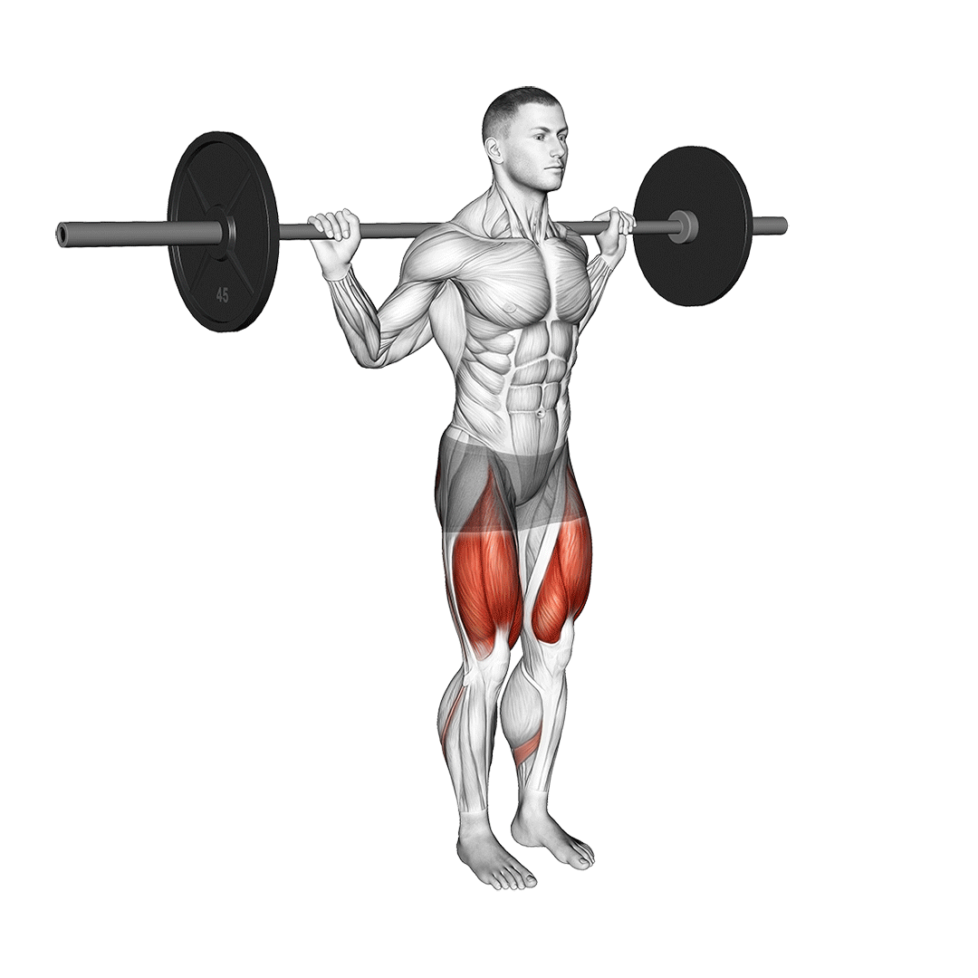 Barbell Narrow Stance Squat