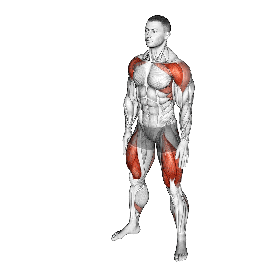 Bodyweight Squat