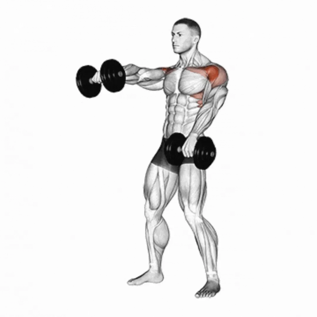 Alternating Dumbbell Front Raise