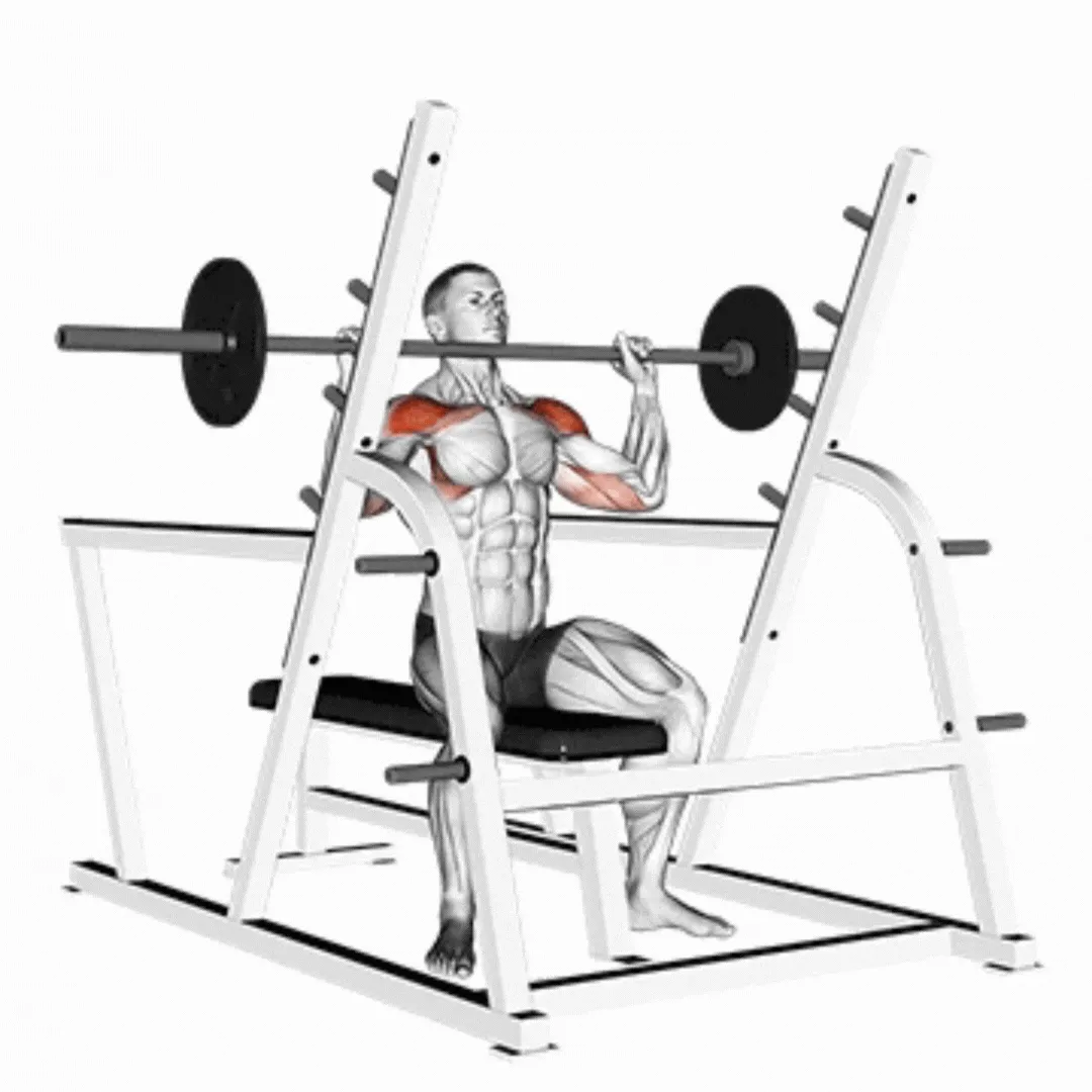 Barbell Seated Shoulder Press