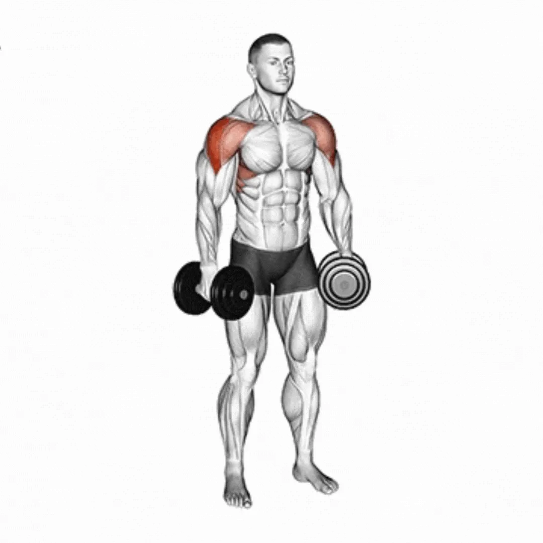 Alternate Dumbbell Lateral Raise