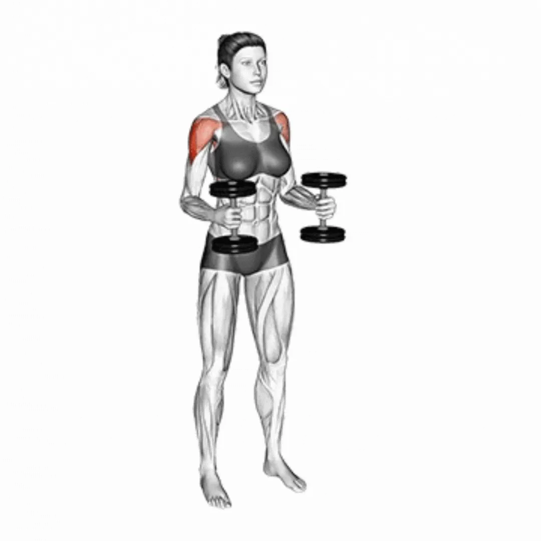 Dumbbell Bent Arm Lateral Raise