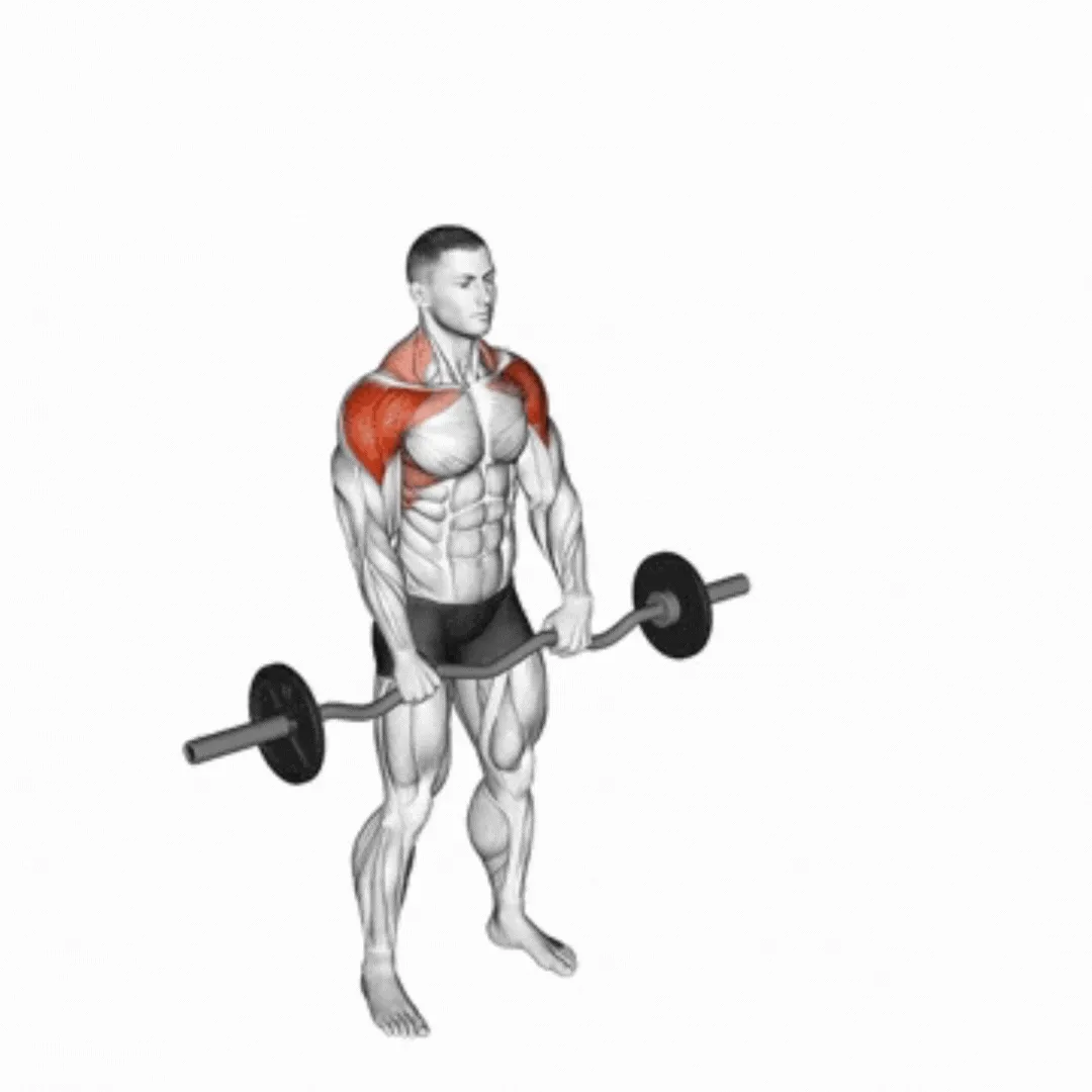 Barbell Front Raise Twist