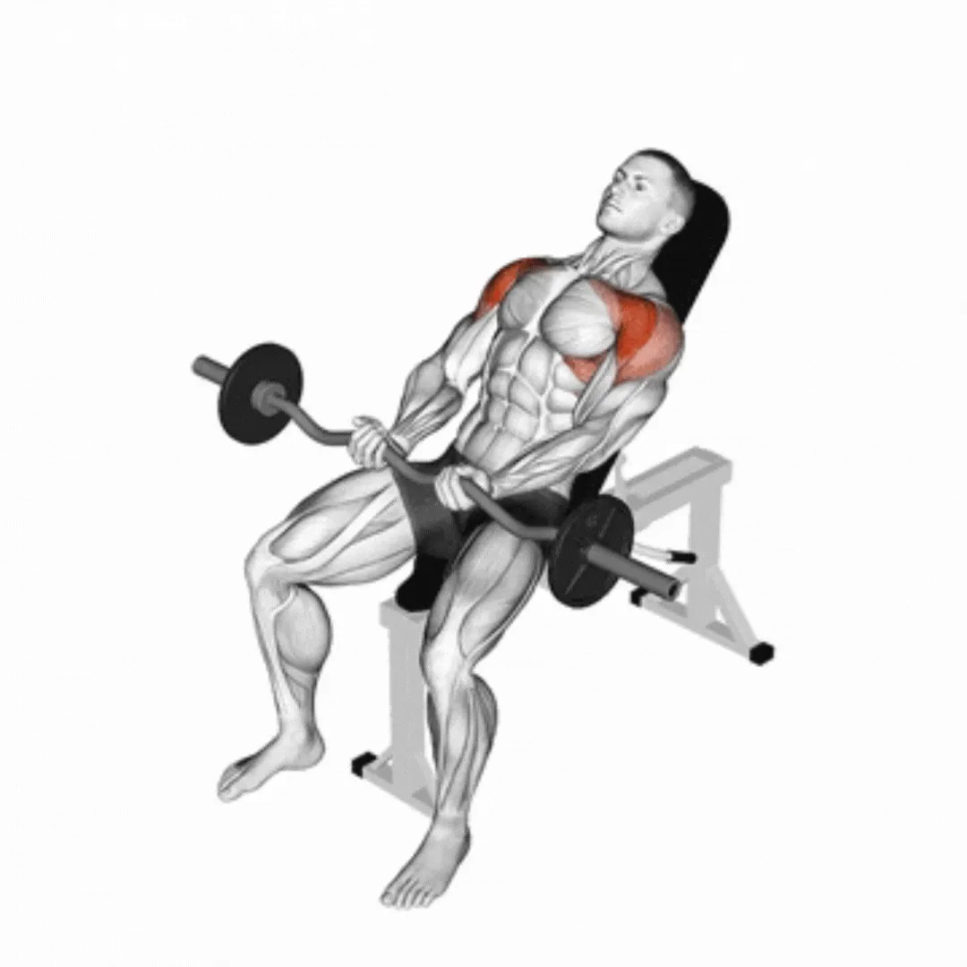 Barbell Incline Front Raise