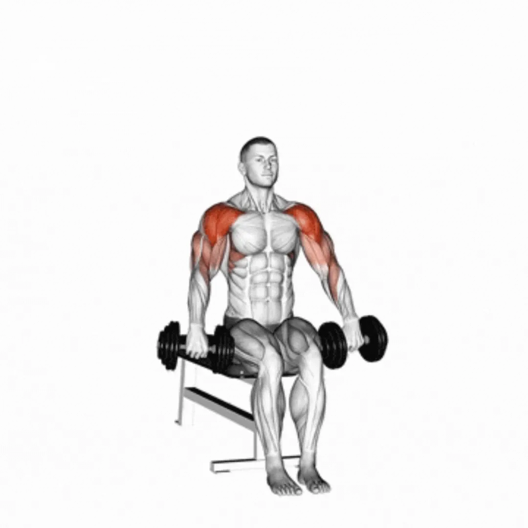 Dumbbell Seated Cuban Press