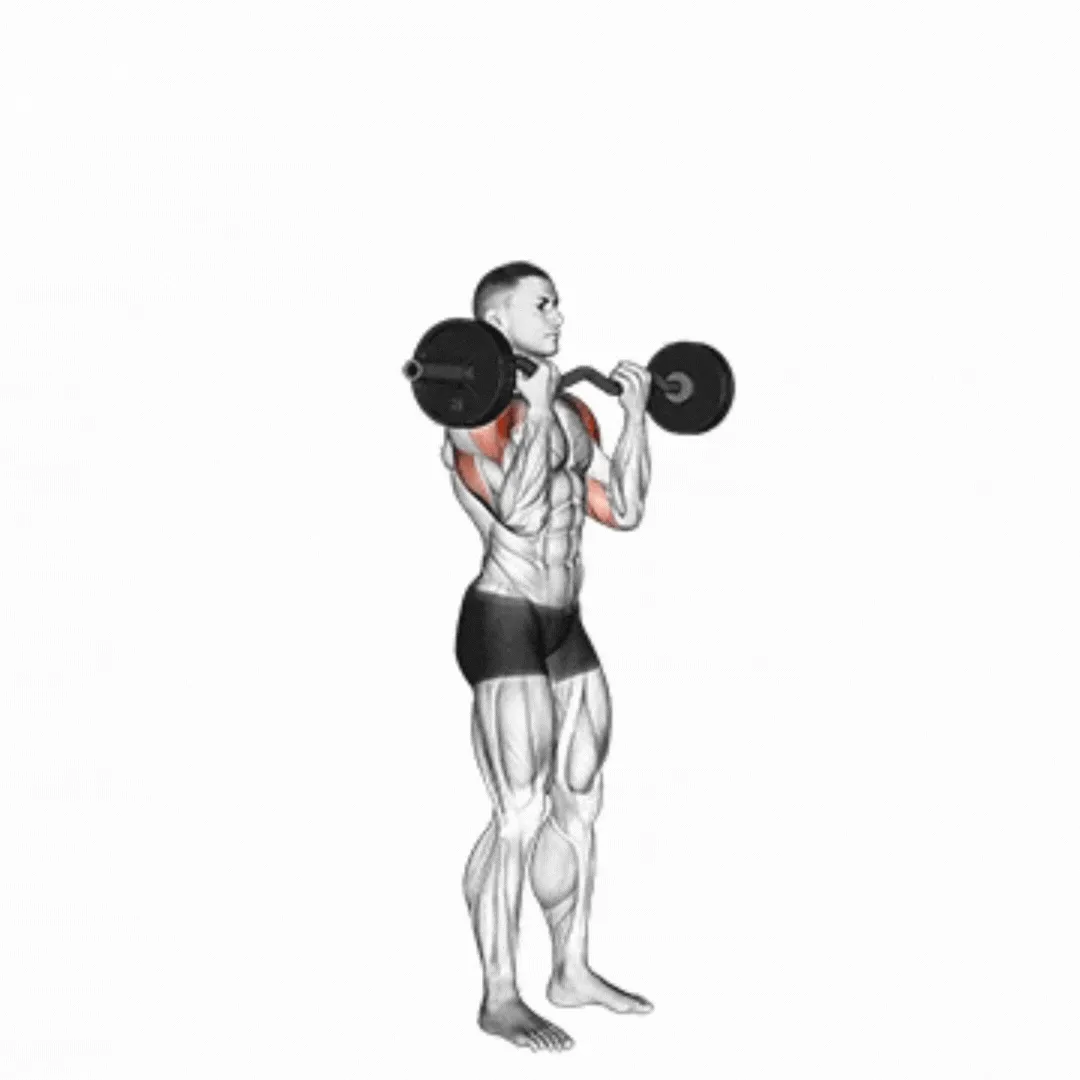 EZ-Bar Standing Overhead Press