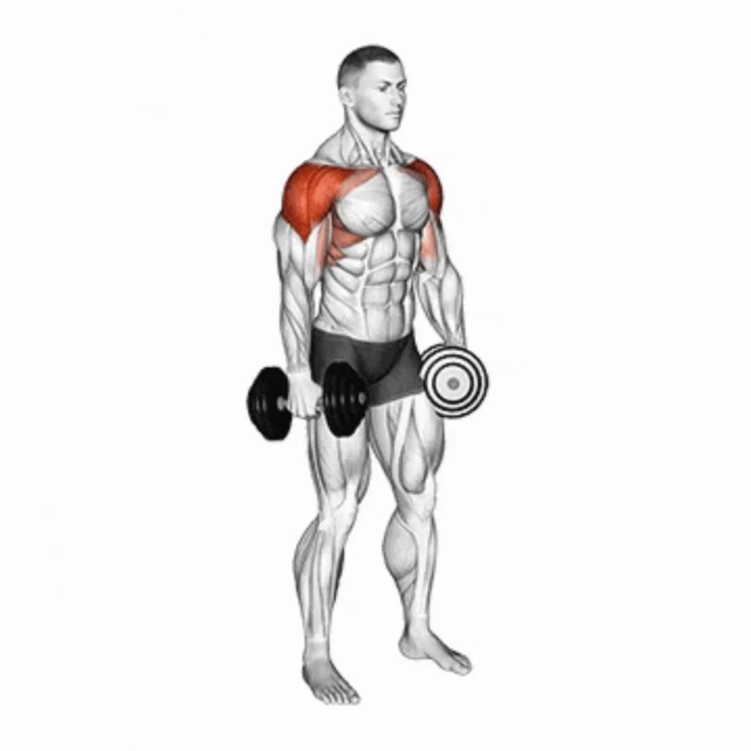 3-Way Dumbbell Raise