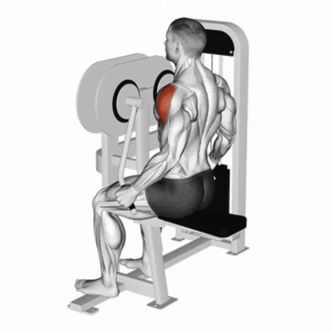 Lever Lateral Raise
