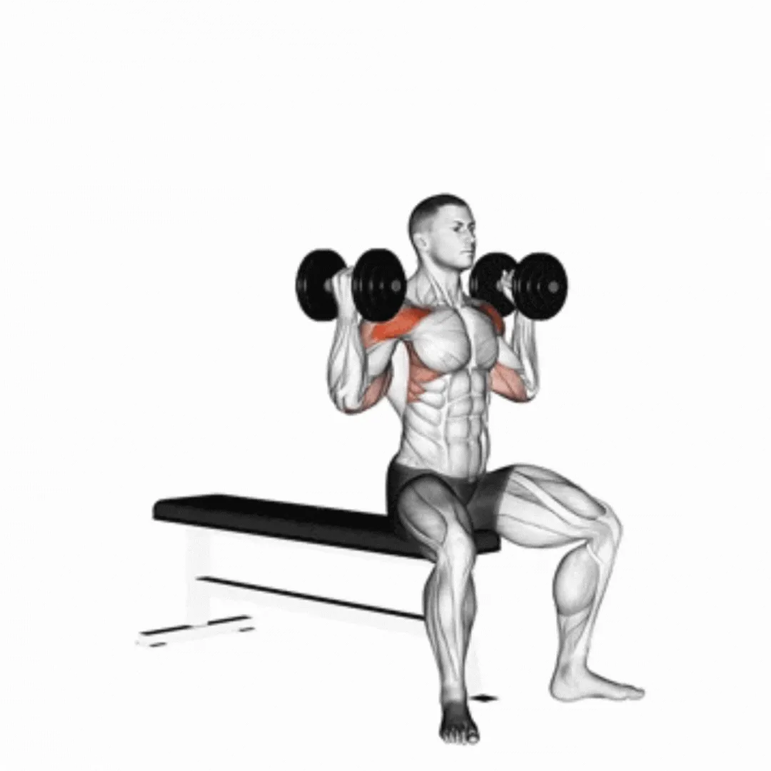 Seated Dumbbell Palms in Shoulder Press