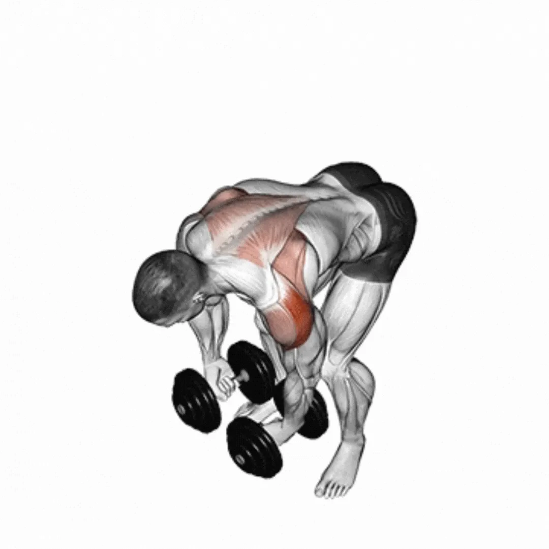 Bent-over Lateral Raise