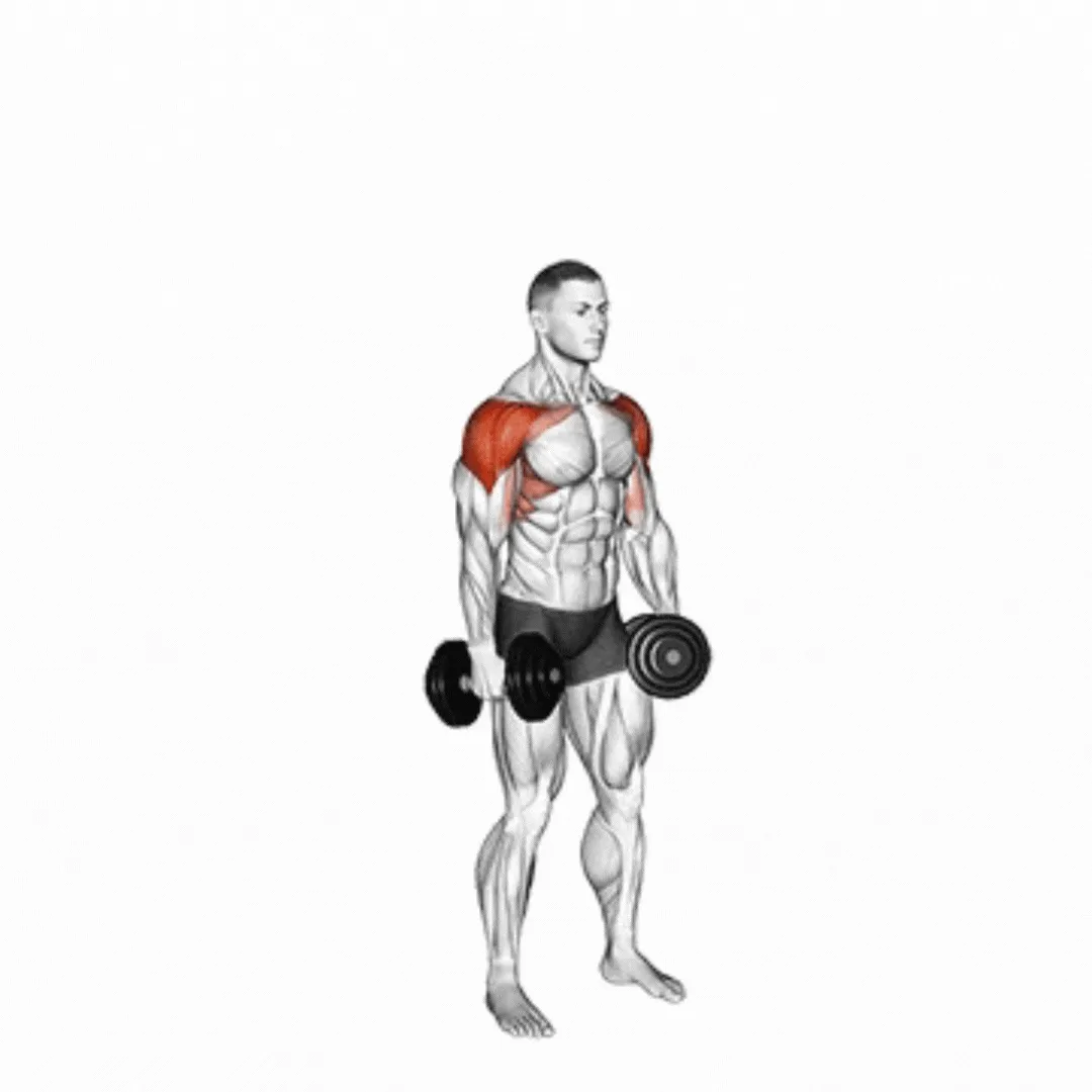 Dumbbell Lateral to Front Raise
